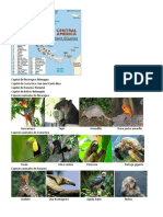 Volcanes de Centroamerica Mapa