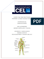 Infografia y Casos Clinicos