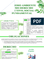 El Medio Ambiente Como Derecho Colectivo