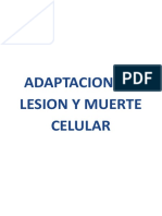 ADAPTACIONES