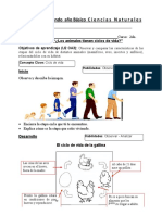 Ciencias 2 Basico 15 Marzo