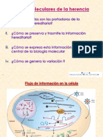 T7 BasesMolecularesdelaHerencia II 2015