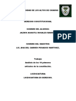 Análisis 10 artículos constitución