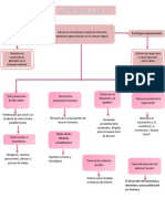 Mapa Conceptual