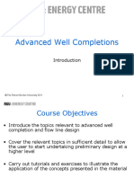 Advanced Well Completions: © The Robert Gordon University 2011