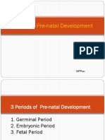 Stages of Prenatal Development