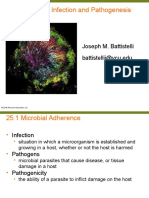Microbial Infection and Pathogenesis: Joseph M. Battistelli Battistellij@vcu - Edu