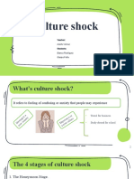 Culture Shock