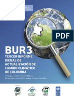 Bur3 - Colombia