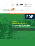 Guias Metodologicas para La Facilitacion de Sesiones de Aprendizaje