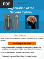 Organization of The Nervous System: Lesson 2