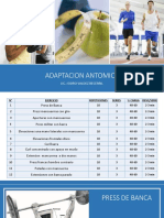 Adaptacion Antomica