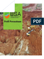 BSA Company Profile1.pdf. Indonesia