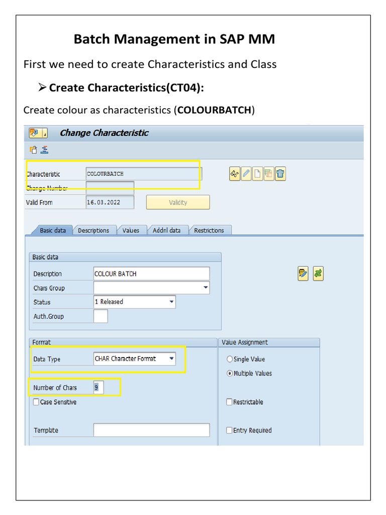 BatchManagement in SAP MM | PDF