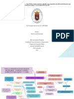 Mapa Mental Contabilidad Especial - Fernanda Ochoa