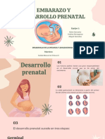 Embarazo y desarrollo prenatal 