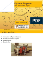 Feynman Diagrams: Particle and Nuclear Physics