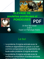 élevage poules et ? ette