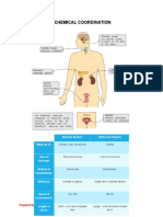 The Endocrine System