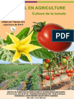 TOMATE