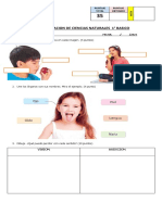 EVALUACION 1° BASICO CS. NATURALES  LOS SENTIDOS