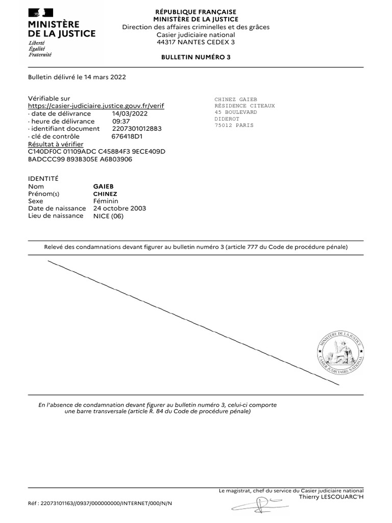 Bulletin N°3 du Casier Judiciaire | PDF | Union européenne | Gouvernement
