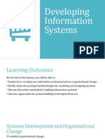 Developing Information Systems