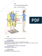 Axe Si Planuri Ale Corpului