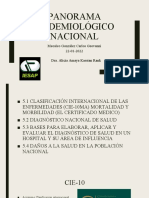 Panorama Epidemiologico Anual