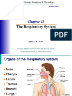 Chapter 13 Respiratory System