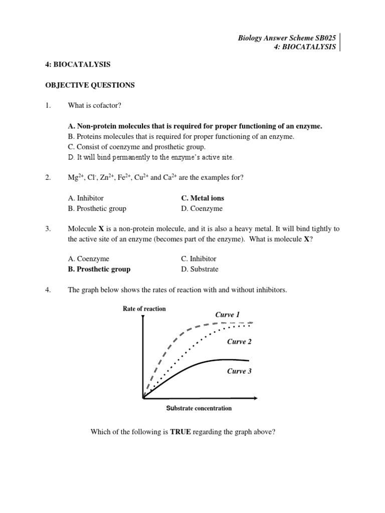 Chapter 4 Sb025 Answer Biocatalysis | PDF