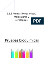 2.3.3 Pruebas Bioquímicas, Moleculares y Serológicas