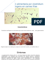 Clostridium Perfringens en Carnes Frías