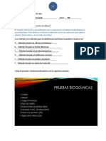 Examen Regularización U2 Mic Alim B Luis Felipe Brito