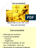 Zenuwweefsel: Martini HFST 12 (12-1 T/M 12-3) Deze PPT (Met Tekst)