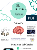 El Cerebro