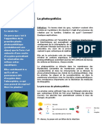 Fiche Peda Photosynthese-3