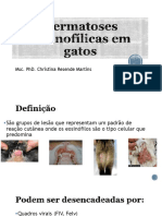 Dermatites eosinofílicas em gatos