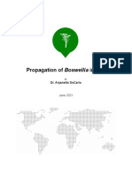 Boswellia Propagation Somaliland 5 - Google