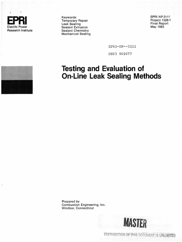 Leak Sealing Procedure PDF Leak Valve