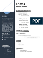 Modelo de CV Formato Carta