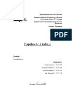 Auditoria - Papeles de Trabajo