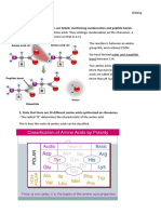 Understandings:: 1. Explain How Amino Acids Are Linked, Mentioning Condensation and Peptide Bonds