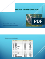 Pembesaran Ikan Gurami