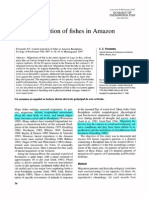 Fernandes, C.C. (1997) Lateral Migration of Fishes in Amazon Floodplains. Ecology of Freshwater Fish, 6 (1), 36-44. 633.1997.tb00140.x