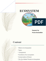 Ecosystem Ppt