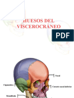 3 Huesos Del Viscerocraneo