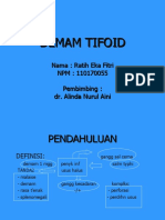 Demam Tifoid