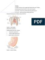 Anatomi Dan Fisiologi Jantung