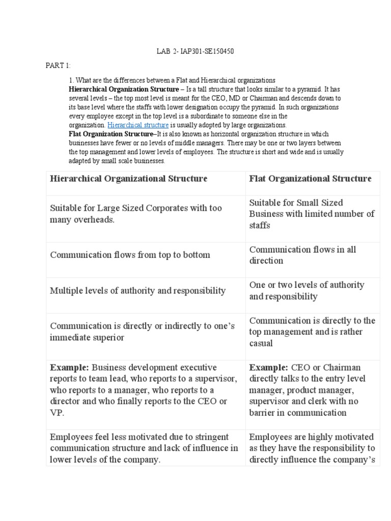 Flat vs Hierarchical Organizations Explained | PDF | Computer Network ...